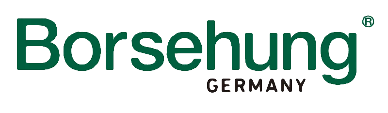 Borsehung