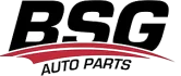 BSG Турция