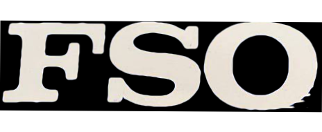 Запчасти FSO