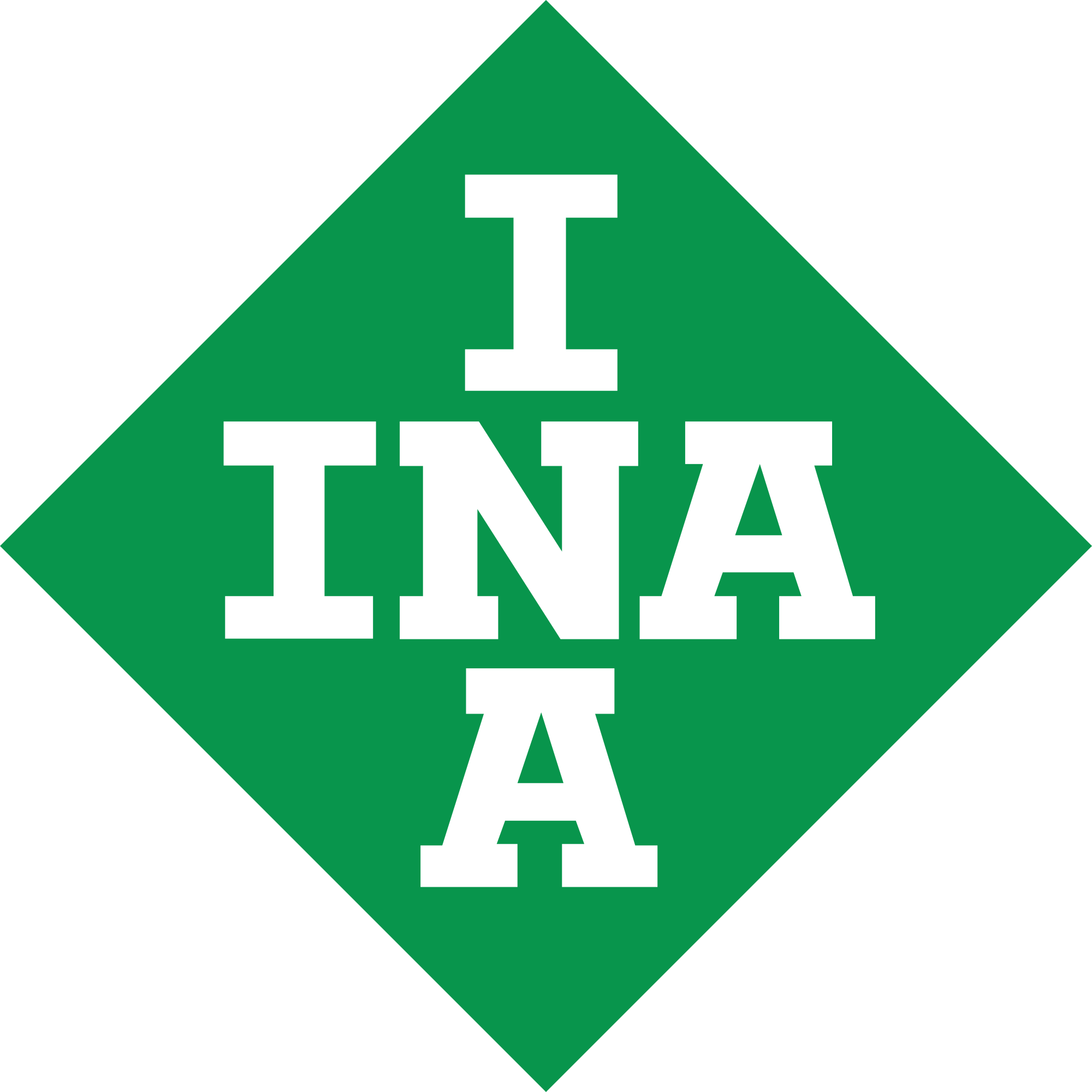 Запчасти INA