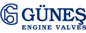 GUNES Туреччина