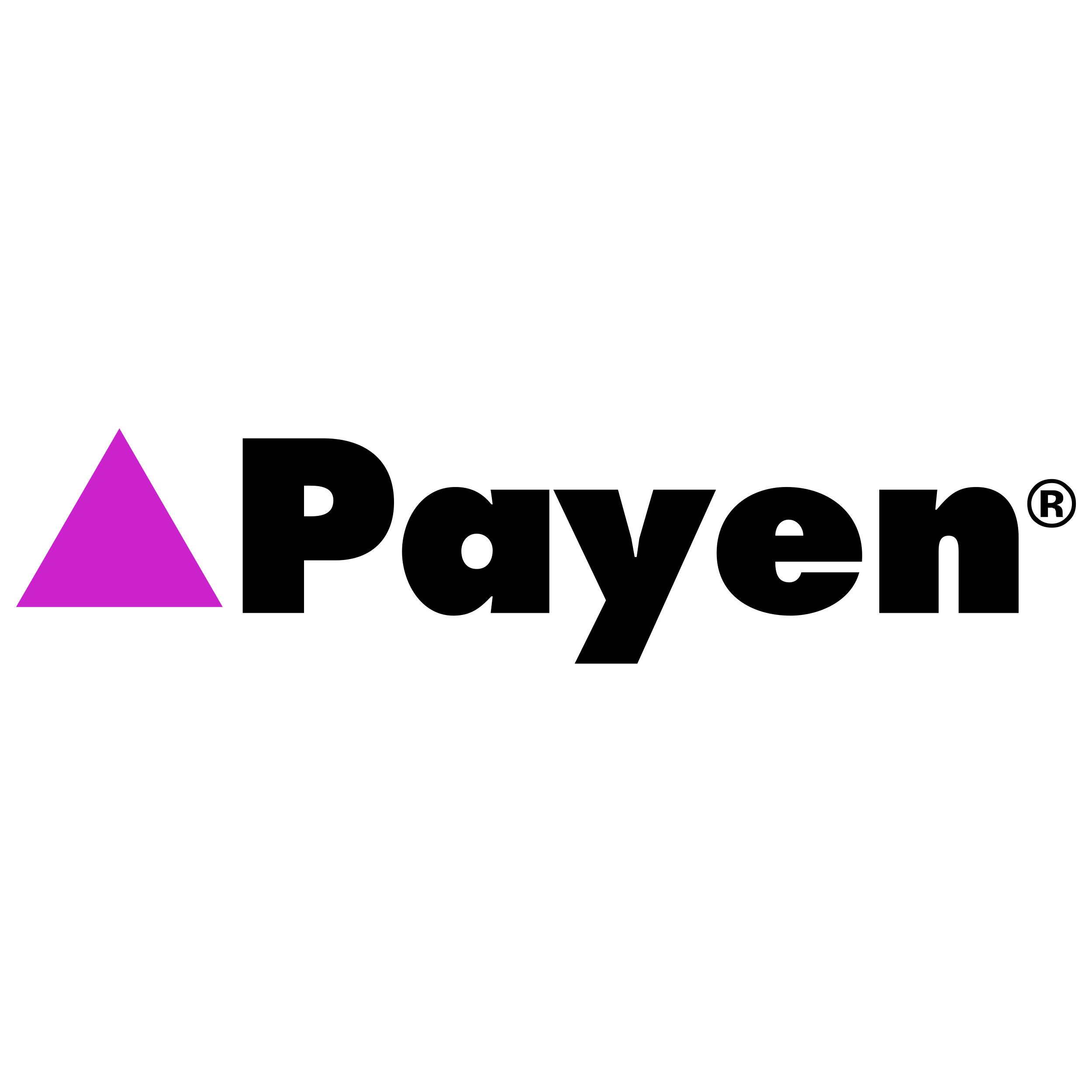 Запчастини Payen