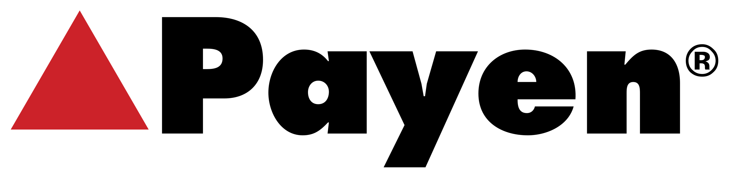 Запчасти Payen