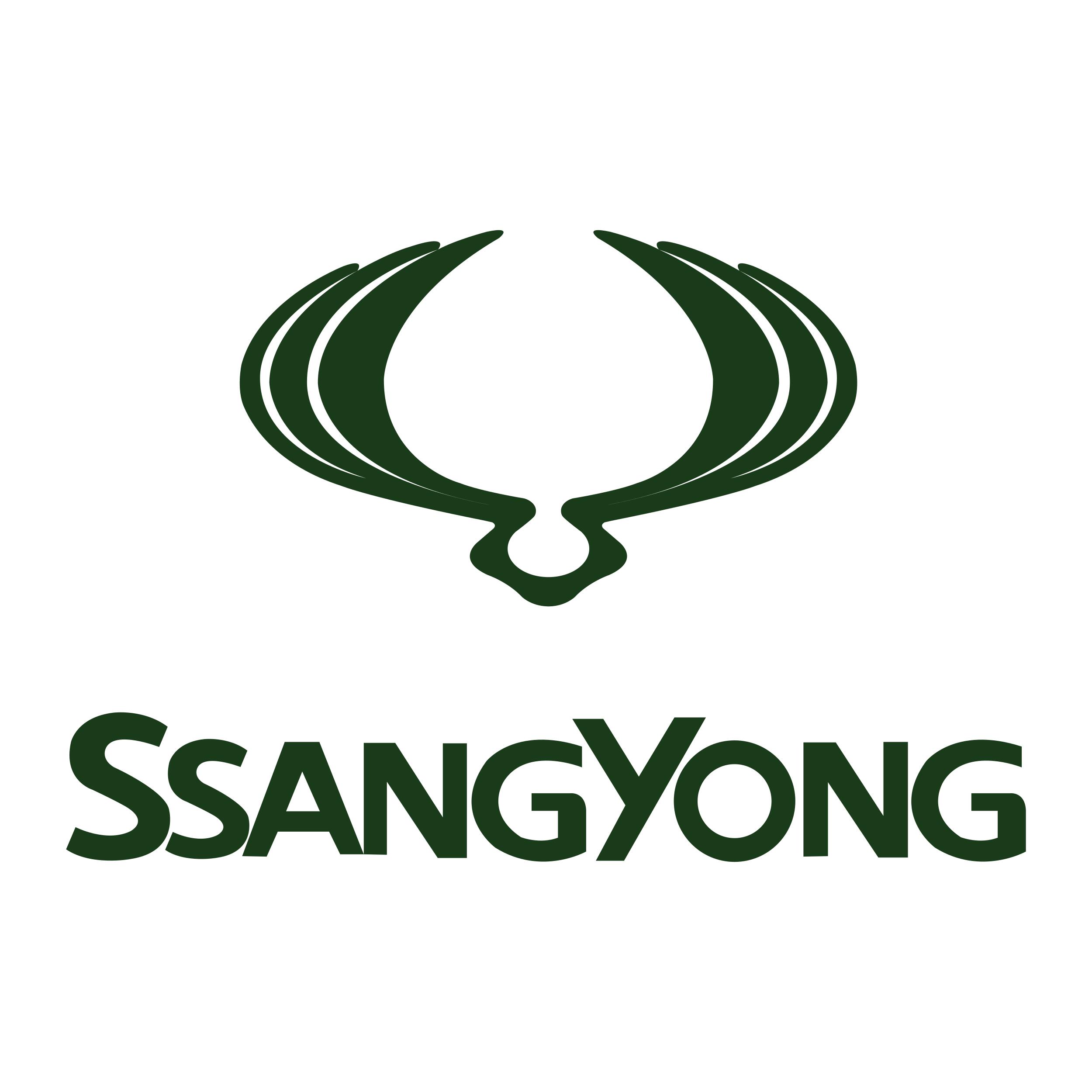 Запчасти SSANGYONG