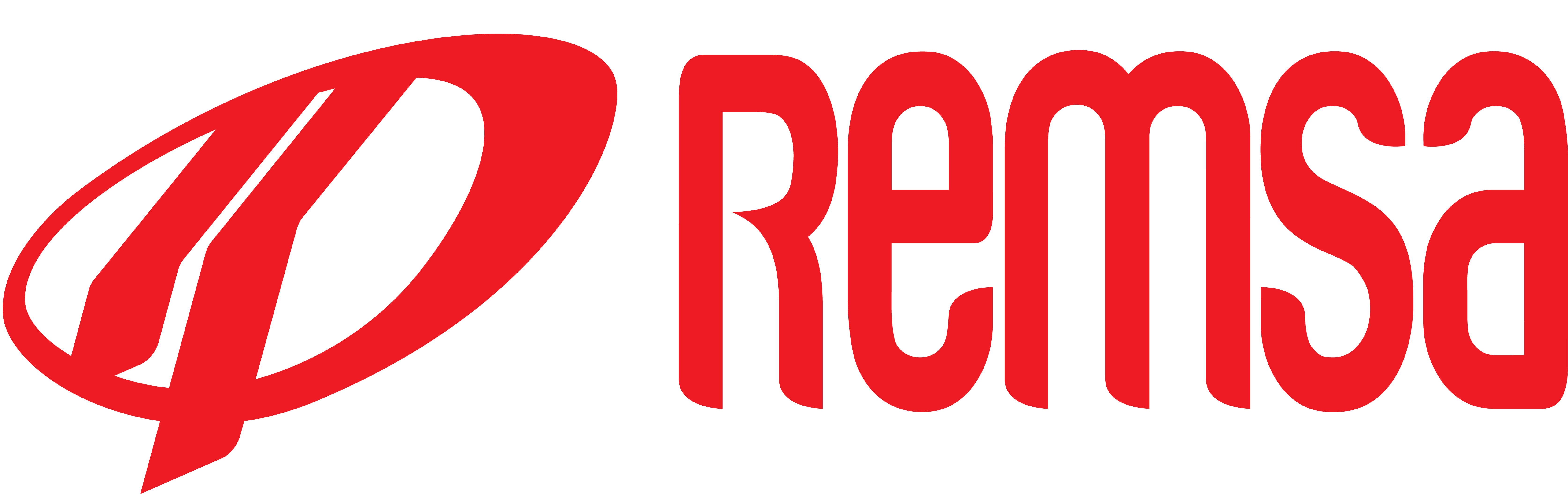 Запчастини REMSA