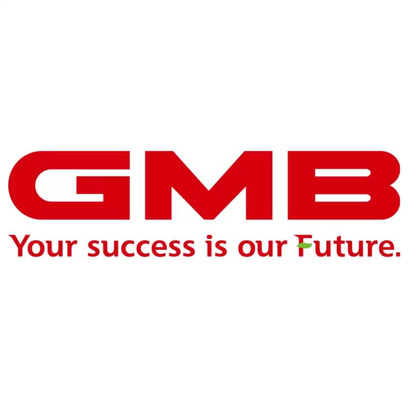 Запчасти GMB