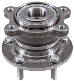 Маточина у зборі A.B.S 201911