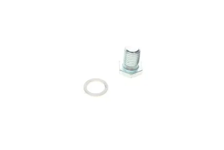Болт зливу оливи + шайба AIC 56282