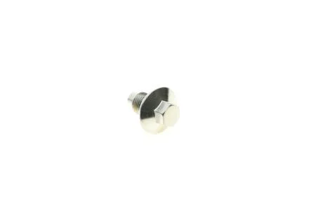 Болт зливу оливи + шайба AIC 58308