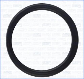 Прокладка фланца VW Golf (V,VI), Jetta (III,IV) 2.5i AJUSA 01165600