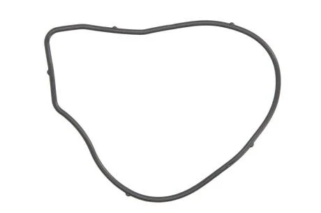 Прокладка водяного насосу CHEVROLET CAPTIVA (11-) 2.4i Ajusa AJUSA 01261900