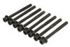 Комплект болтов ГБЦ INFINITY FX 35, QX50 I, QX60 2.5, 3.5i/ NISSAN MURANO (I,II) AJUSA 81047800 (фото 2)
