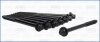 Комплект болтов ГБЦ MITSUBISHI OUTLANDER (II,III), PAJERO SPORT III 3.0i (8шт) AJUSA 81056600 (фото 1)