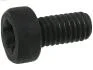 Болт з головкою системи TORX з чорного металу AS SP3022S(BULK)