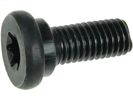 Болт з головкою системи TORX з чорного металу AS-PL SRS3060S