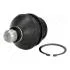 Опора шарова передня нижня NISSAN NAVARA, PATHFINDER 05- (вир-во) ASHIKA 73-01-130 (фото 1)