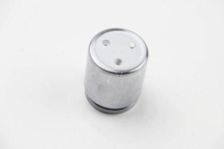 Поршень супорта land cruiser/cx-7/lx (45x52,4) 07- AUTOFREN D025304