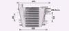 Інтеркулер NISSAN Patrol 3.0D 00- (Ava) AVA COOLING DN4457 (фото 2)