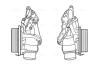 Радіатор масляний MERCEDES W204/W207/W211 DIESEL в зборі (AVA) AVA COOLING MS3688H (фото 1)