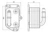 Радиатор масляный Citroen C4 (05-), C5 (08-), Jumpy (07-)/Peugeot 307 (01-), 407 AVA COOLING PE3433 (фото 1)