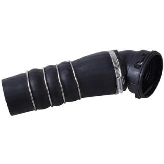 Повітряний шланг Bapmic BF0422700318