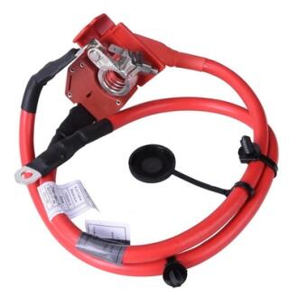 Кабель акумулятора Plus Pole Bapmic BF0422930009