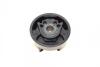 Подушка двигуна, нижня SKODA OCTAVIA A5. VW GOLF V. CADDY 03- Belgum Parts BG2209 (фото 3)