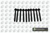 Комплект болтів з головкою системи TORX з чорного металу BGA BK3605 (фото 1)
