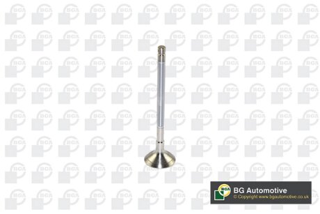 Клапан двигуна BGA V122042