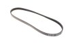 Ремінь генератора поліклиновий BLUE PRINT AD04R800 (фото 5)