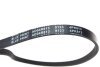Ремінь генератора поліклиновий BLUE PRINT AD04R813 (фото 2)