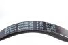 Ремінь генератора поліклиновий BLUE PRINT AD05R1220 (фото 2)