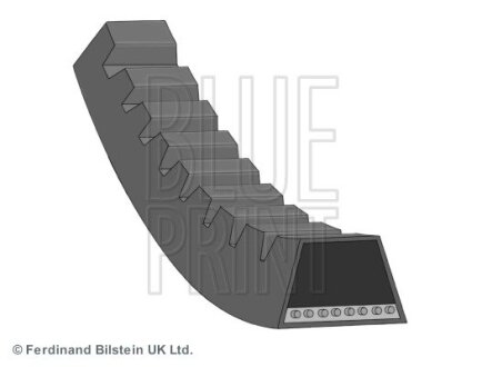 Пасок клиновий BLUE PRINT AD13V925