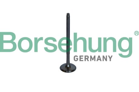 Випускний клапан Borsehung B10326