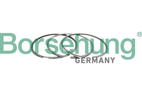 Комплект поршневих кілець Borsehung B10366