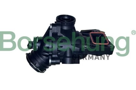 Термостат, охолоджувальна рідина Borsehung B10558