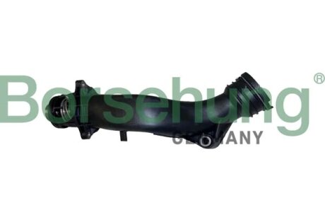 Термостат, охолоджувальна рідина Borsehung B10560