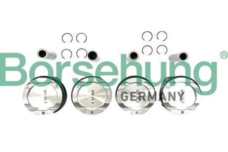 Поршень двигуна Borsehung B11136