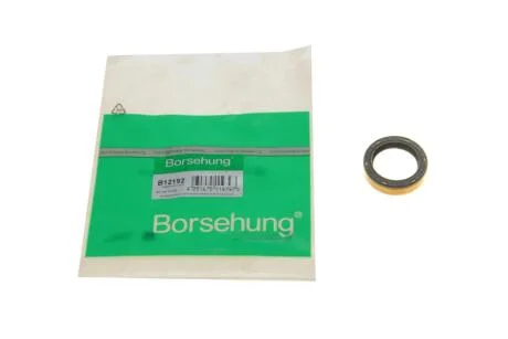 Автозапчастина Borsehung B12192