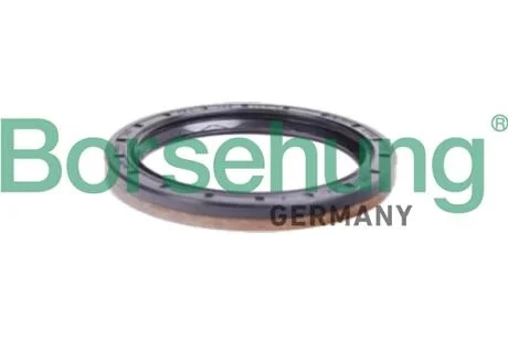 Автозапчастина Borsehung B12197