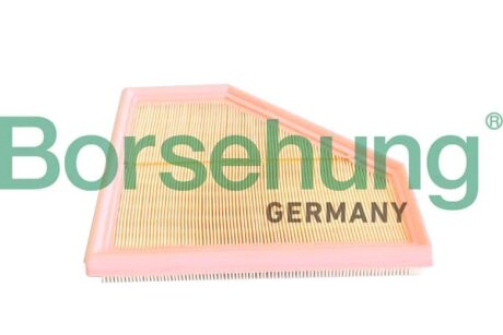 Повітряний фільтр лівий Borsehung B12292