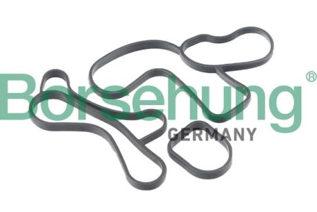 Ущільнення, оливний радіатор Borsehung B12530