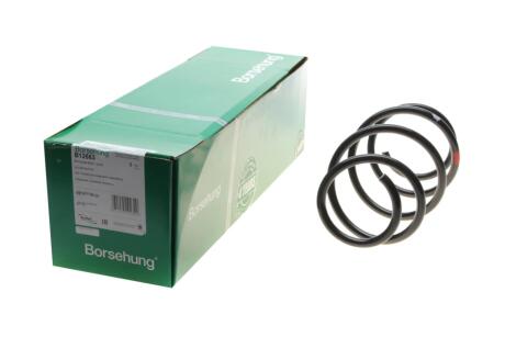 Автозапчастина Borsehung B12563