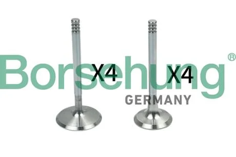 Клапан ГРМ Borsehung B18148