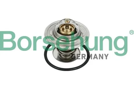 Автозапчастина Borsehung B18231