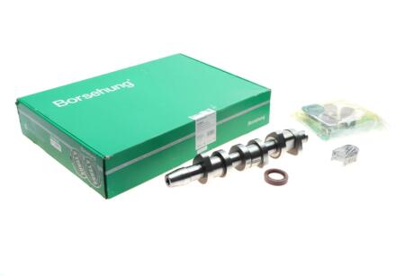 Вал розподільчий к-кт Borsehung B18665