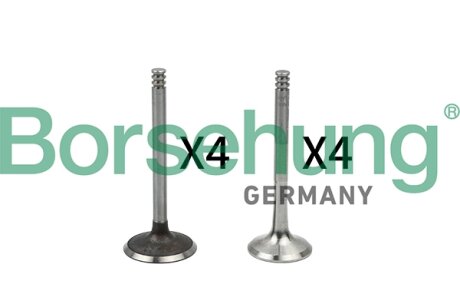 Клапан впускний/випускний Borsehung B18766