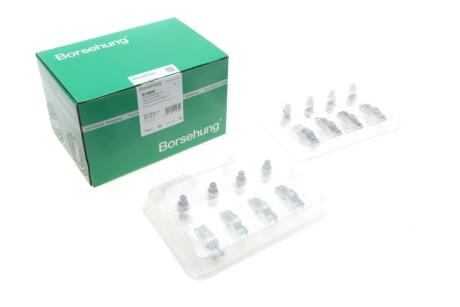 Гідрокомпенсатор Borsehung B18806