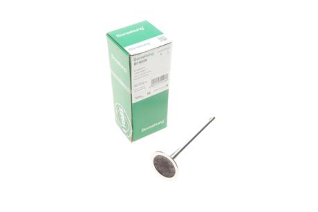 Клапан впускний Borsehung B19026