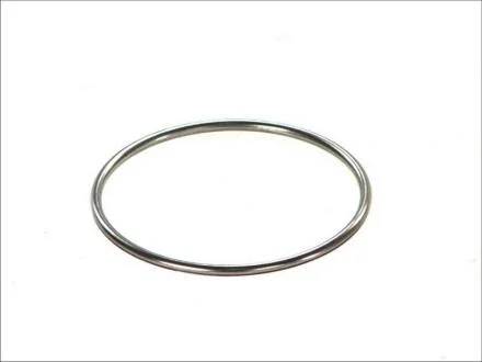 Прокладка катализатора (кольцо штанов) BOSAL 256436